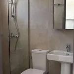 Apartment Turtle